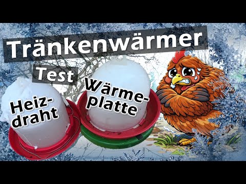 Eisfreie #Hühner Tränke bei Frost im Winter ♨️  Heizdraht oder Wärmeplatte? ❄️ 133