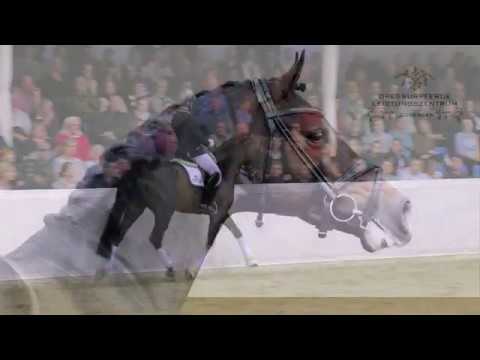 Rock For Me 2020 deu