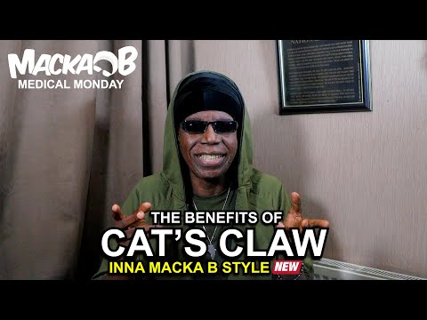 Macka B's Medical Monday 'Cat's Claw'
