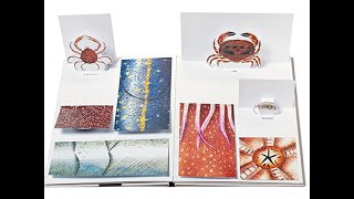 Nacéo - kniha s odklápěcími chlopněmi Pittau - Gervais