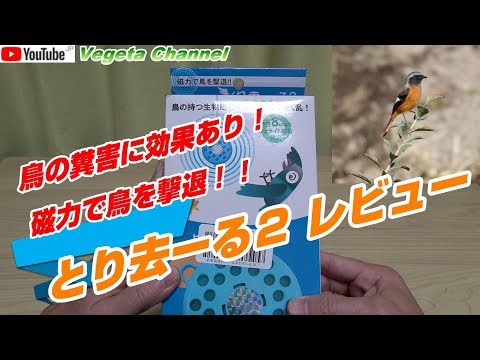 鳩よけバルコニーを設置して、鳥を傷つけずに鳥を遠ざけるにはどうすればよいでしょうか?  庭園