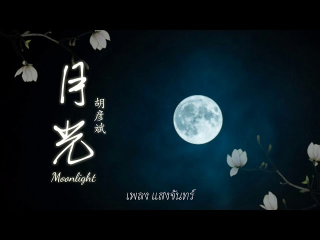 เพลงแสงจันทร์【 胡彦斌—月光】| เพลงจีนแปลไทย