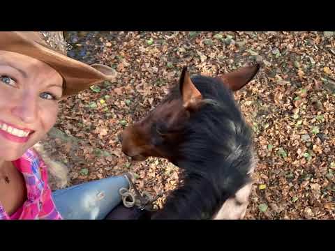 Podzimní výjezd s Frenkim NAHOŘE BEZ 🤪💪🐴