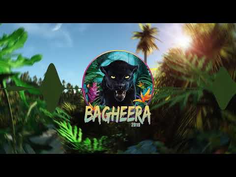 Bagheera 2019 - Matsijey