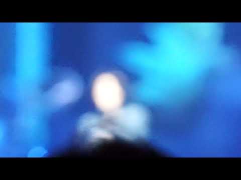 잔나비(Jannabi) - DOLMARO @잔나비 전국투어 콘서트 '투게더' 서울