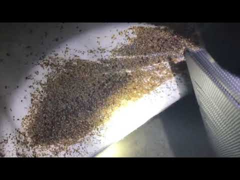 Tenants Leave Bed Bugs Behind in Neptune, NJ