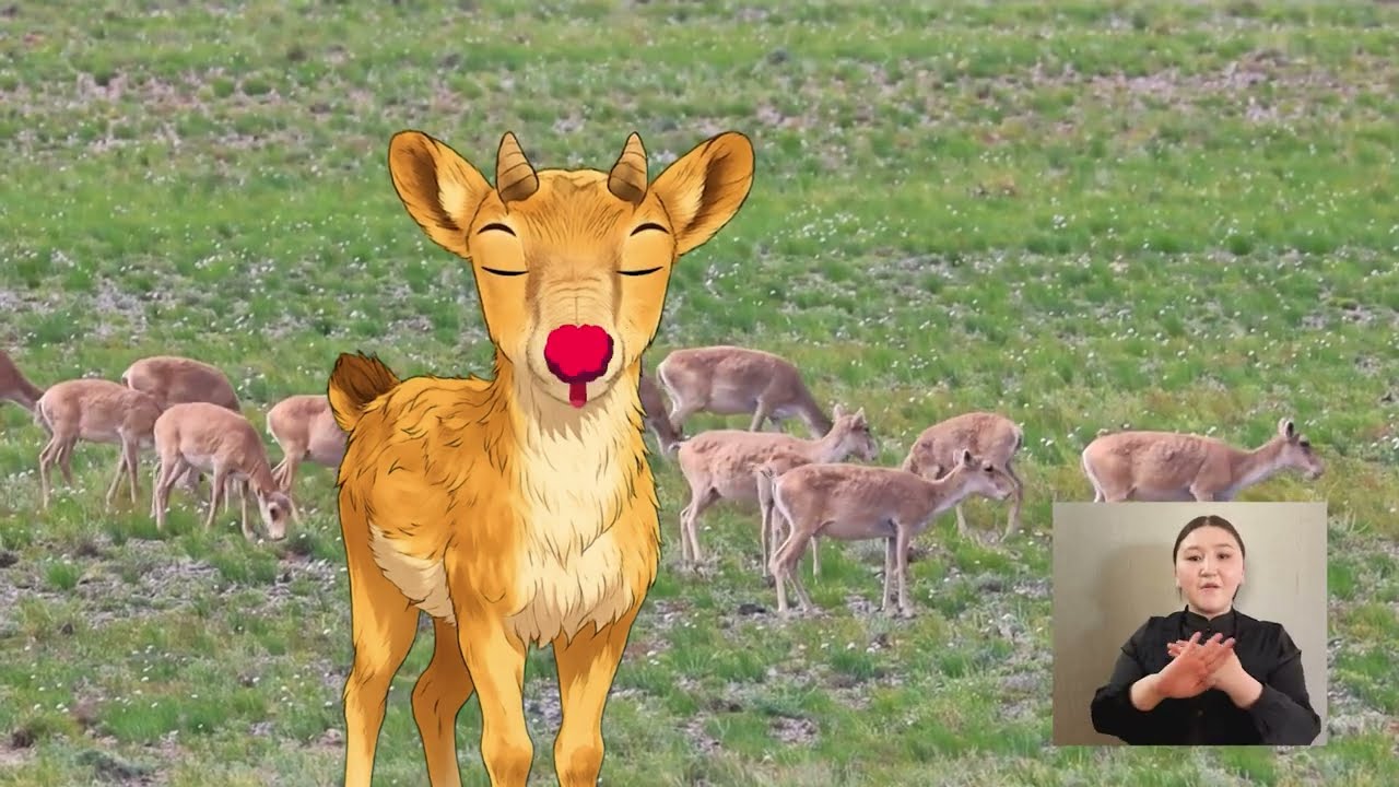 Монгол бөхөнгөө хамгаалцгаая!