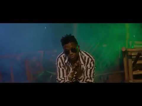 Rayvanny ft Phyno - Wakibana (official music video)