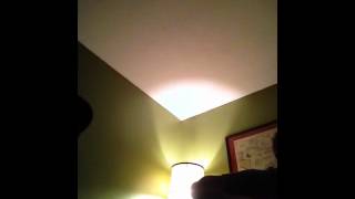 Like a Rose - Lucinda Williams Cover