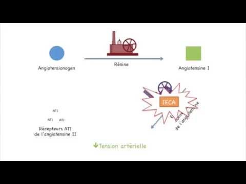 Médicaments homéopathie pour lhypertension hel Hypertension comment épeler