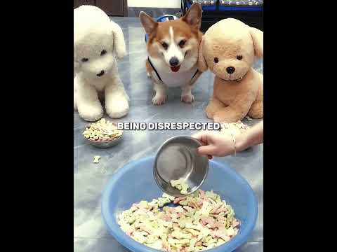 He Hates Being Disrespected!