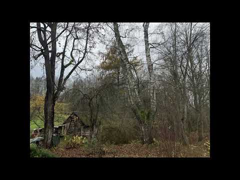 Tõnu Tepandi - Kõlakoda (uuem)