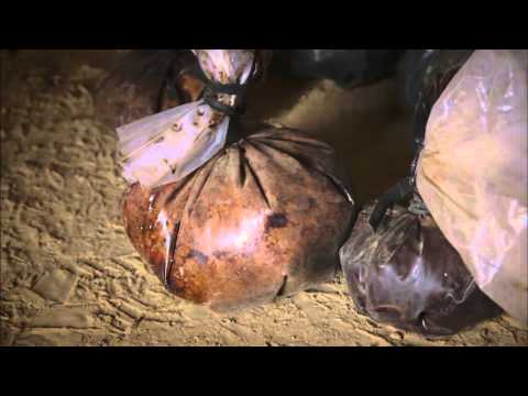 Priče s istoka 130 - Afganistan u ratu protiv droga - Subota 17:00