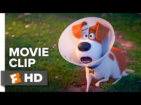 The Secret Life of Pets 2 (Clip 'Parenting Advice')