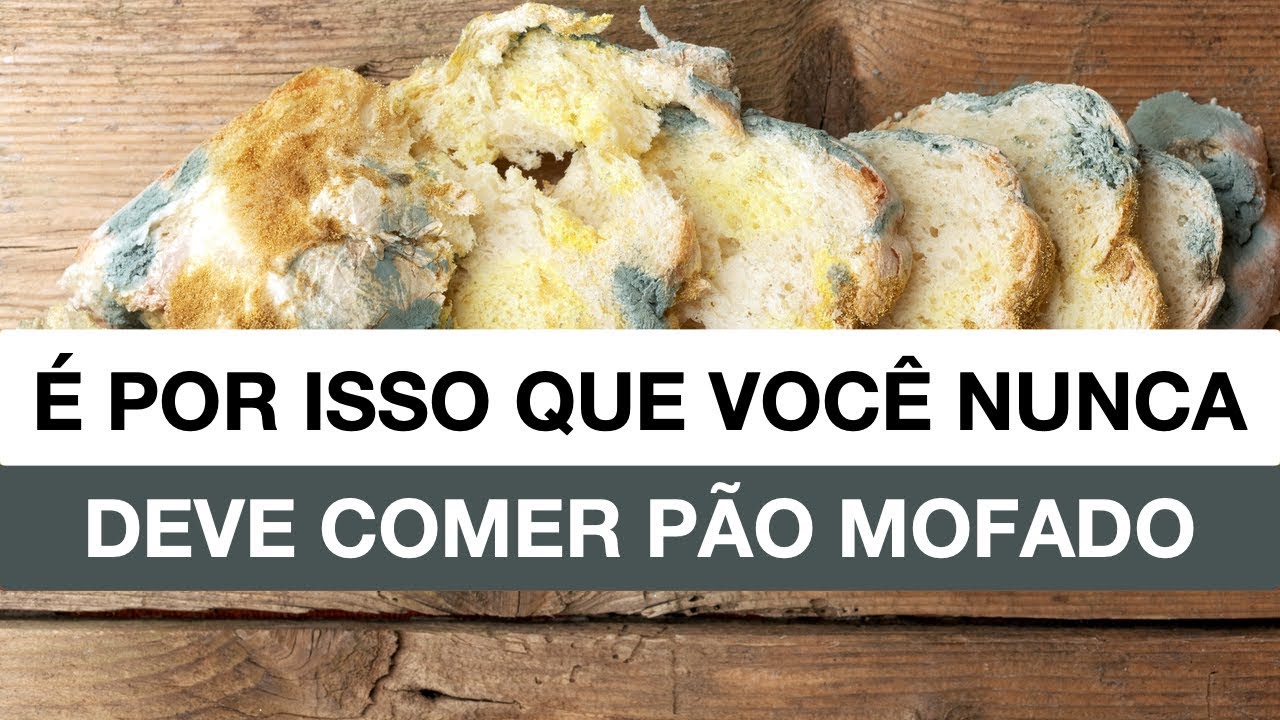 É Por Isso Que Você Nunca Deve Comer Pão Mofado!