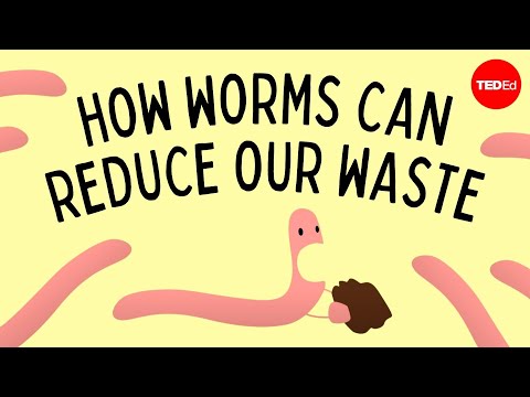 YouTube video about Discover the Various Worms Utilized in Vermicomposting!