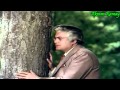 Dil Dhoondta Hai Phir Wohi HD1180pixel Song Added By Gill Jagwinder