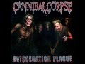 Cannibal Corpse - Carrion Sculpted Entity