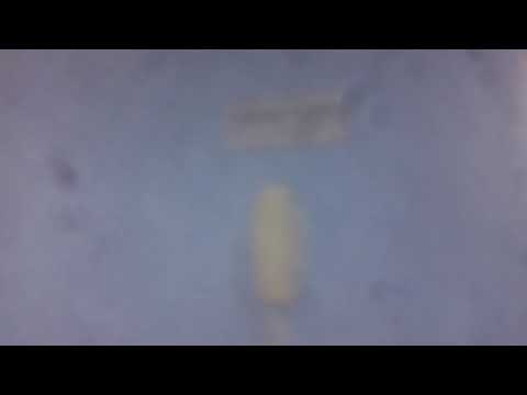 Old Otis Series 1 Elevator At Days Inn, Morrisville NC