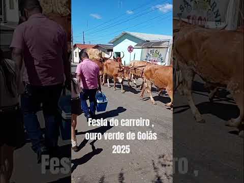 Festa do carreiro ouro verde de Goiás 2025