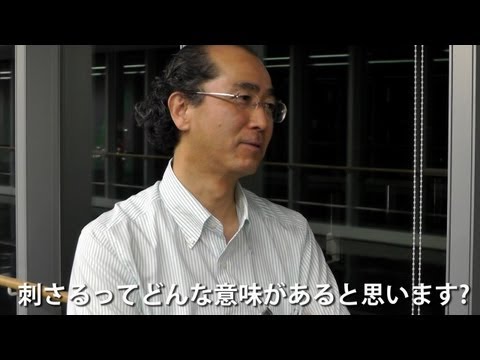 鍼灸学科 高倉伸有研究室の紹介【東京有明医療大学】