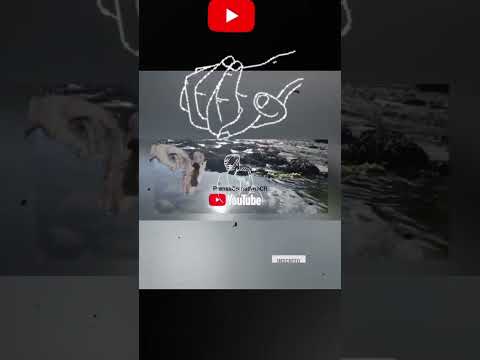 #argentina2026 #chubutpatagonia #comodororivadavia #musica