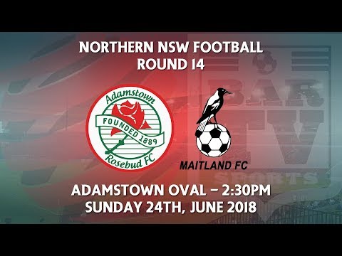 2018 NNSWF NPL Round 14 - Adamstown Rosebud FC v Maitland Magpies FC