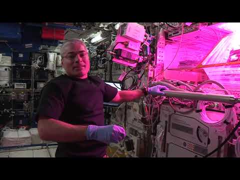 Expedition 65 - B Roll Mark Vande Hei