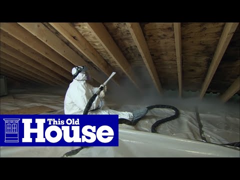 image-What can I spray in my attic for mold?