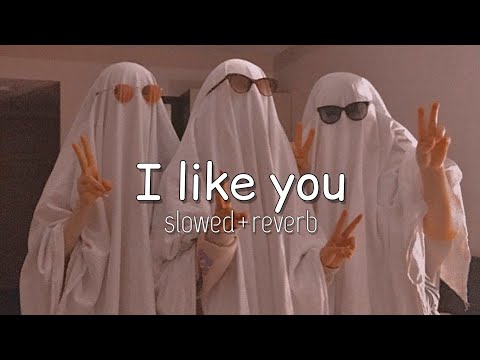 Ptrp Studio - I like you (🇹🇭Thai song) laila lala lala lai [slowed+reverb]