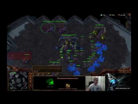 sc2coach - 1vs1 von Bronze bis Master mit Zerg (NA) #20
