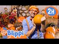 Halloween Pumpkin Farm Blippi Cartoons With Subtitles Moonbug