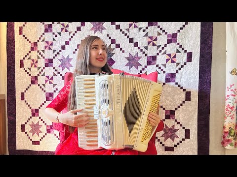 WHITE AND GOLD TITANO IDEAL PIANO ACCORDION image 8