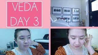VEDA Day 3 - Quiet Day