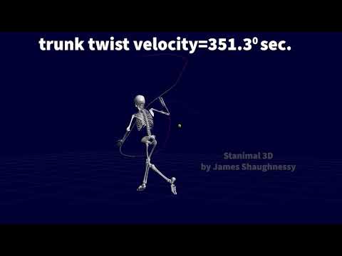 3D Analysis of Stan Wawrinka's Backhand