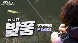 [도요TV ep.277] 꽃샘추위를 이겨내고 배스를 찾아내는 방법은?!