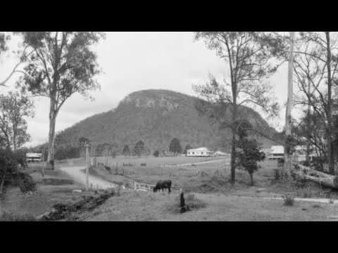 The History of Paddys Flat Rd Woodenbong to Tabulam