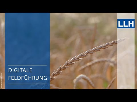 Ackerbauforum - Einstieg in den Dinkelanbau