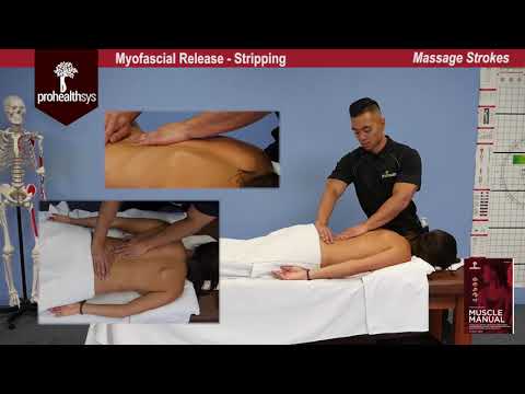 download lagu mp3 mp4 Fascia Massage, download mp3 Fascia Massage free download mp3, download mp3 Fascia Massage