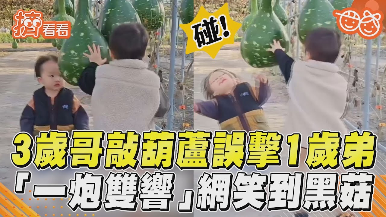 影音／3歲哥敲葫蘆誤擊1歲弟！　「一炮雙響」網笑到黑菇
