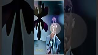 Stevie Wonder -  A Place in the Sun