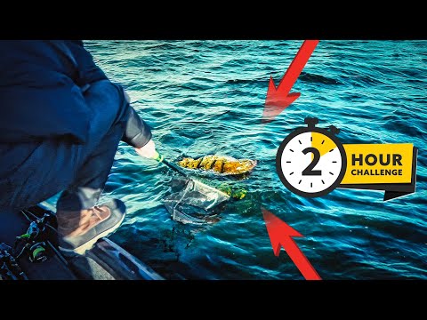 2H-Challenge: Will this monster perch end up in the net?