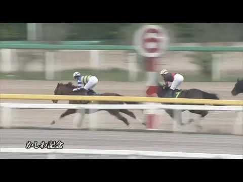 2020.05.05 Kashiwa Kinen (JPN) - Wide Pharaoh