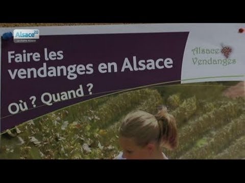comment declarer interim pole emploi