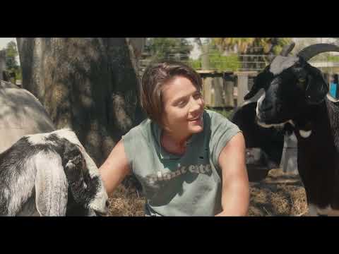 Friends Not Food, the Sitcom Pilot Trailer