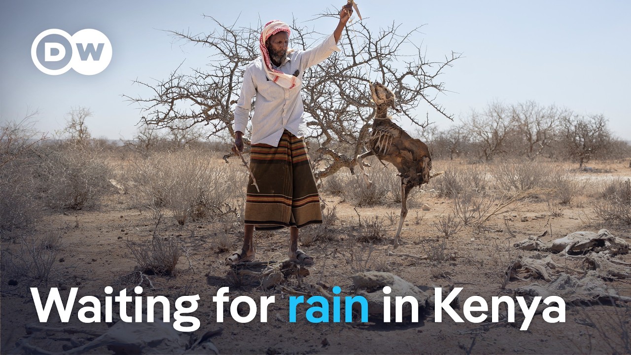 A crisis compounding: drought and dwindling aid in northern Kenya | DW News