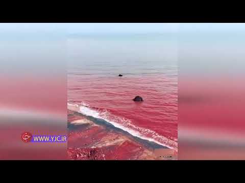 ساحل خونین 😱عجایب خلیج فارس😱❤️