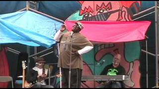 Del Van Dyke Comedian SF Comedy Day 2010 Golden Gate Park