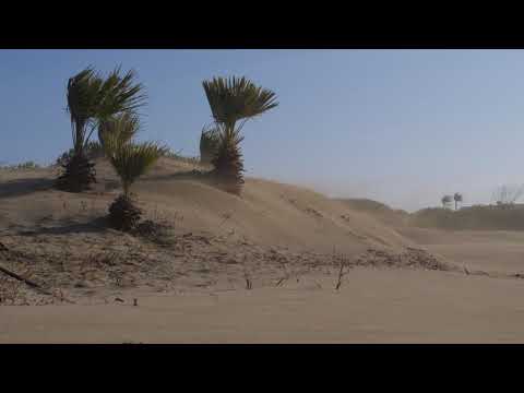 Relaxing Sound of Howling Wind Blowind Sand / Relax, Sleep, Stress Relief,...