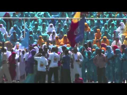 Resumen del año 2013